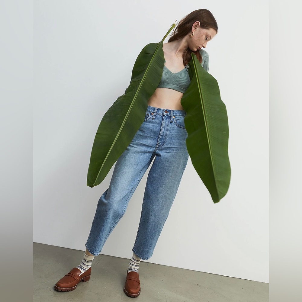 Madewell Balloon Jeans in Whistler Wash 23 EPOC A3